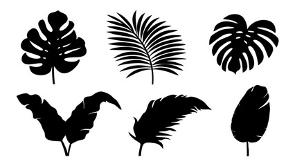 Set of palm leaves silhouettes isolated on white background.