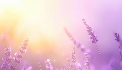Lavender blossoms in a serene meadow nature photography vibrant colors peaceful atmosphere close-up view
