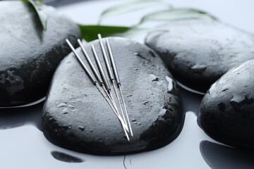 Acupuncture needles, wet spa stones and leaves on water surface, closeup