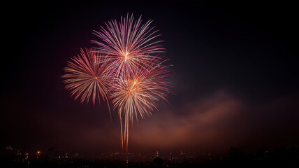 Splendid fireworks in the night sky