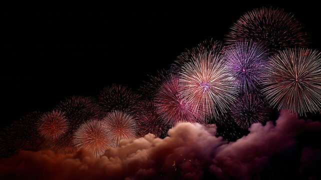 Splendid fireworks in the night sky