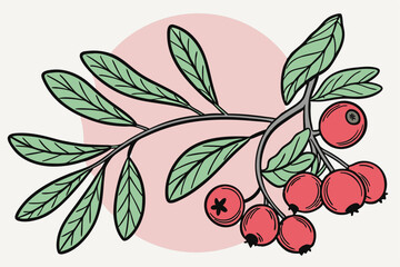 8 Botanical illustration, cranberry branch, vibrant red berries, green leaves, soft pink circular background, watercolor style, detailed, realistic, nature art, delicate, fresh, crisp, organic, round 
