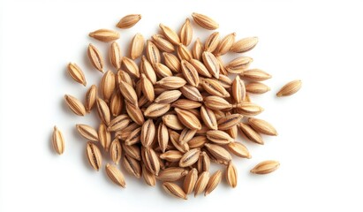 Pile of pale tan seeds, oblong shape, clustered