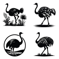 Naklejka premium Ostrich bird clipart set silhouette Illustration drawing detailed feather