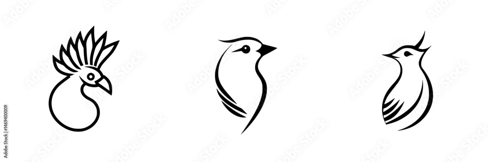 Poster stylized vector illustrations of three distinct bird designs showcasing unique features and poses in