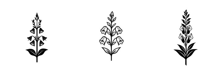 Fototapeta premium Floral vector illustration of three distinct types of flowers with elegant details and natural elements