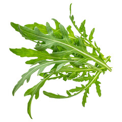 Green fresh rucola or arugula leaf isolated on white background macro,
