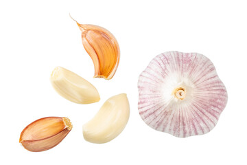 Set of fresh whole and sliced garlics isolated on white background, top view,