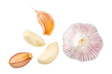 Set of fresh whole and sliced garlics isolated on white background, top view,