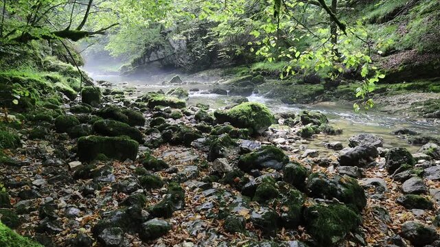 Les gorges de Malvaux sont des gorges du massif du Jura, o&ugrave; coule la rivi&egrave;re Saine, entre la commune de Foncine-le-Bas et la commune des Planches-en Montagne, dans le d&eacute;partement du Jura