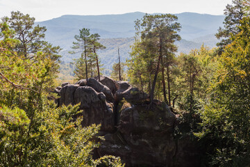 Pines growing on top of large rocky outcrops of sandstone