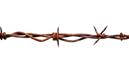 Rusty Barbed Wire isolated on transparent white background, clipping path