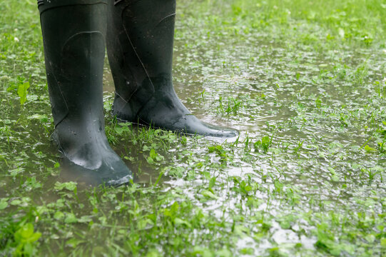 Household flooding causing standing water in the yard while wearing rubber boots in rainy conditions