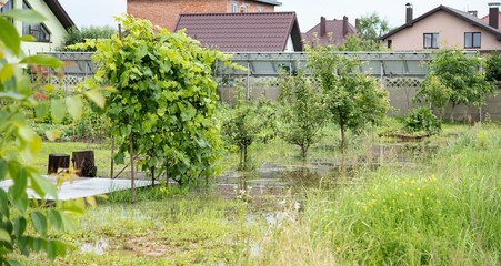 Flooding in residential garden area causing water accumulation around plants and trees