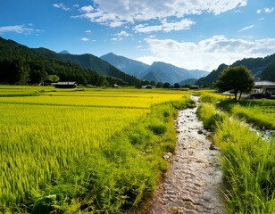 水田が広がる日本の田舎の風景