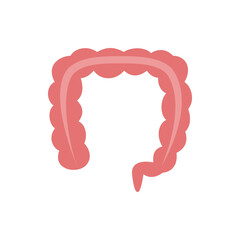 Illustration of a large intestine with a pink color and a smooth texture on a white background image view