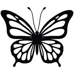 black and white butterfly