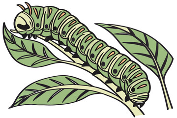 25 caterpillar, green, on leaf, detailed, macro, photorealistic, highly detailed, close-up, nature, wildlife, insect, beautiful, crisp, vibrant, sharp focus