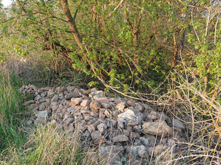 construction waste in the forest