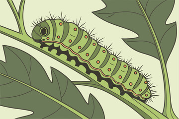 25 caterpillar, green, on leaf, detailed, macro, photorealistic, highly detailed, close-up, nature, wildlife, insect, beautiful, crisp, vibrant, sharp focus