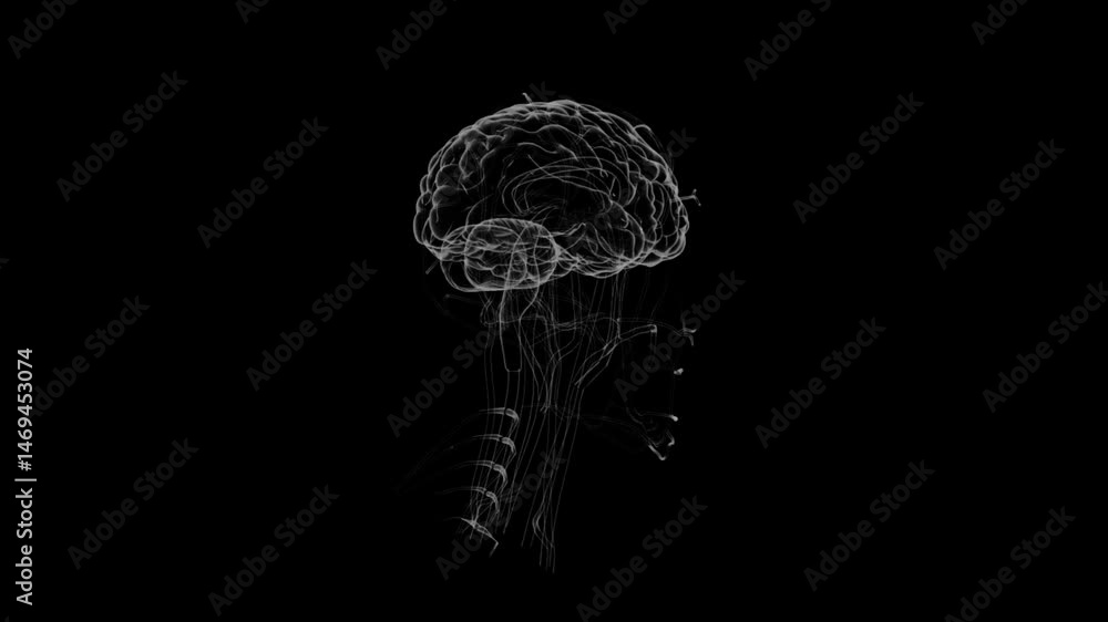 Poster intricate brain diagram: neural networks in a scientific wireframe art style