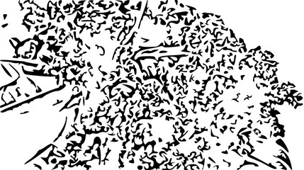 vector illustration of a black and white background