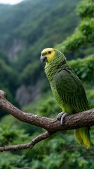 Obraz premium Parrot perched on branch in lush forest