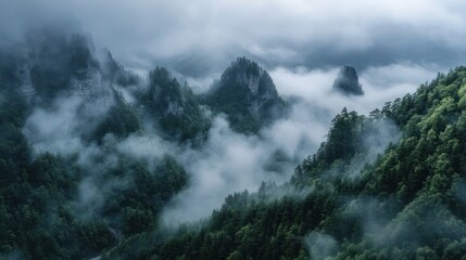 Misty Mountains Landscape Scenery