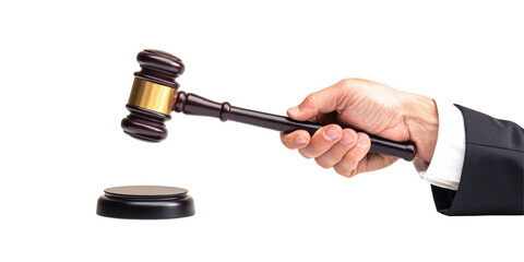 Zg Lawyers Hand Holding The  isolated on a transparent background