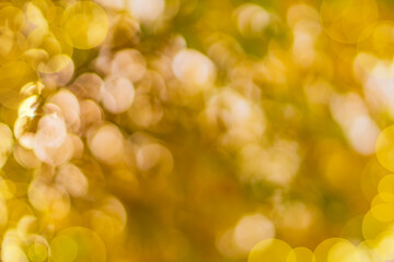 Abstract defocus orange-red background for blank artworks obtained by photographing on a bright sunny day in a summer garden under the foliage of fruit trees. Natural environment with bokeh