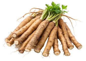 bunch of fresh carrots isolated on white background. Transparent PNG file type available .
