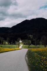 country road in the countryside