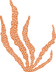 Artistic silhouette of laminaria. Hand drawn vector edible seaweed printing for restaurant business. Decorative print with kelp isolated on white background. Brown algae vector logo. Healthy food art