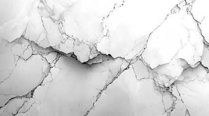 Fototapeta premium a white marble wallpaper with a black and white marble pattern