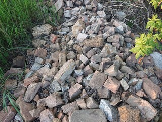  construction waste in the forest