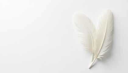 Obraz premium Close-up shot of pristine white feathers against pure white background, nature, serenity, texture