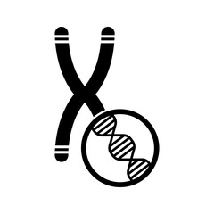 Human chromosome with double strand DNA magnification, genetic research icon vector