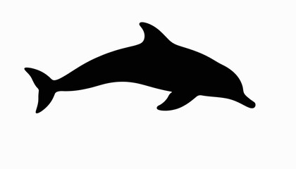 Fototapeta premium Agile dolphin leaping mid-air, dynamic silhouette