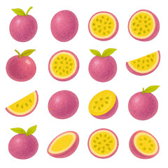 Passiflora edulis(パッションフルーツ)