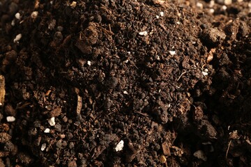 Texture of fresh soil as background, closeup