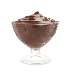 Delicious chocolate pudding in dessert bowl isolated on white