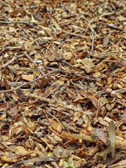Natural Wood Chip Ground Cover
