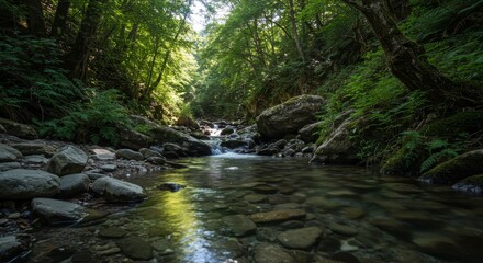 Obraz premium Serene Forest Stream - A tranquil stream flows through a lush green forest, sunlight dappling the water. Rocks and ferns line the banks. Peaceful nature scene
