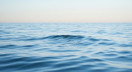 Obraz premium Serene Ocean Waves at Dawn - Peaceful ocean, soft blue hues, gentle waves, tranquil scene, calming atmosphere. Symbolizing serenity, peace, tranquility, hope, and renewal