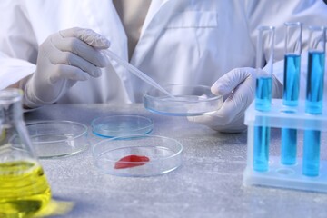 Scientist with Petri dishes and pipette at table, closeup