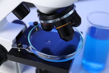 Petri dish on microscope in laboratory, closeup