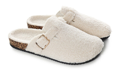 Pair of stylish slippers isolated on white