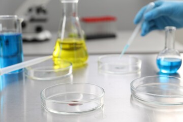 Scientist working in laboratory, focus on Petri dishes