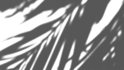 The shadows of trees and leaves are used to create decorative shadows