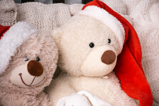teddy bear with christmas gift